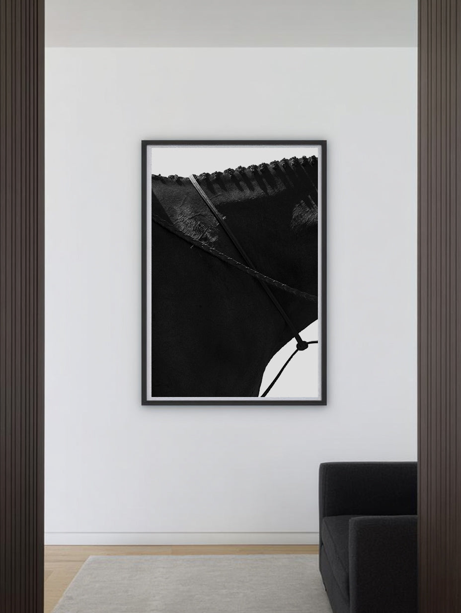 ÉTALON NOIR