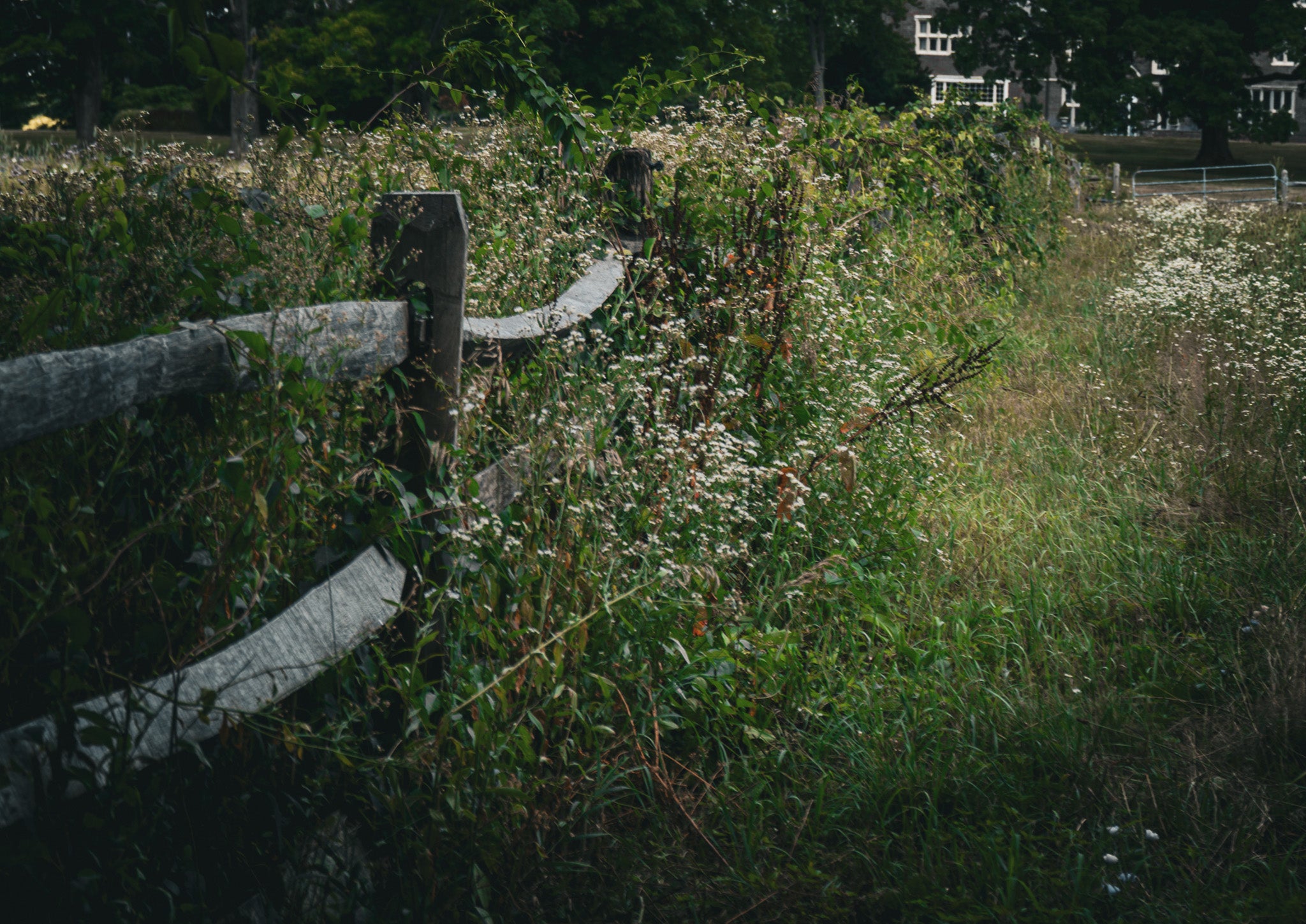 BETWEEN FIELDS