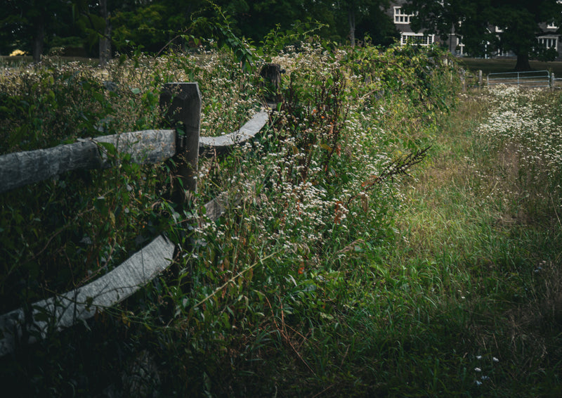 BETWEEN FIELDS