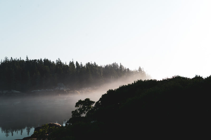 The Narrows