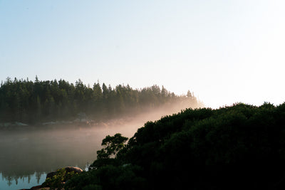The Narrows