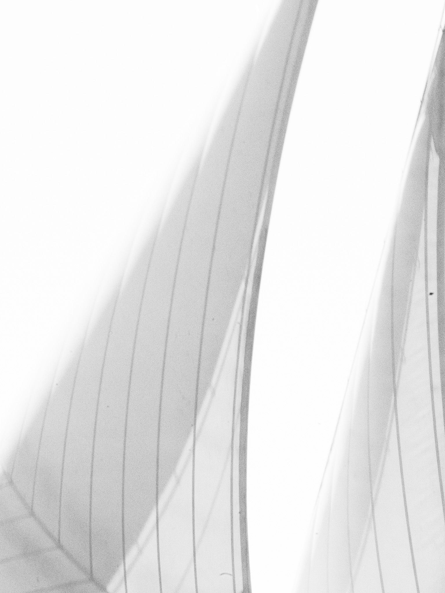 Veil of Suspension II