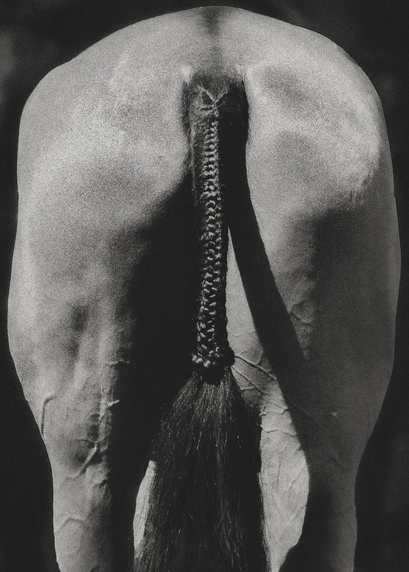 The Braided Ass I