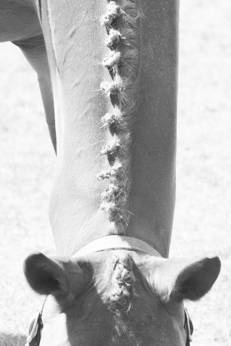 TRESSE
