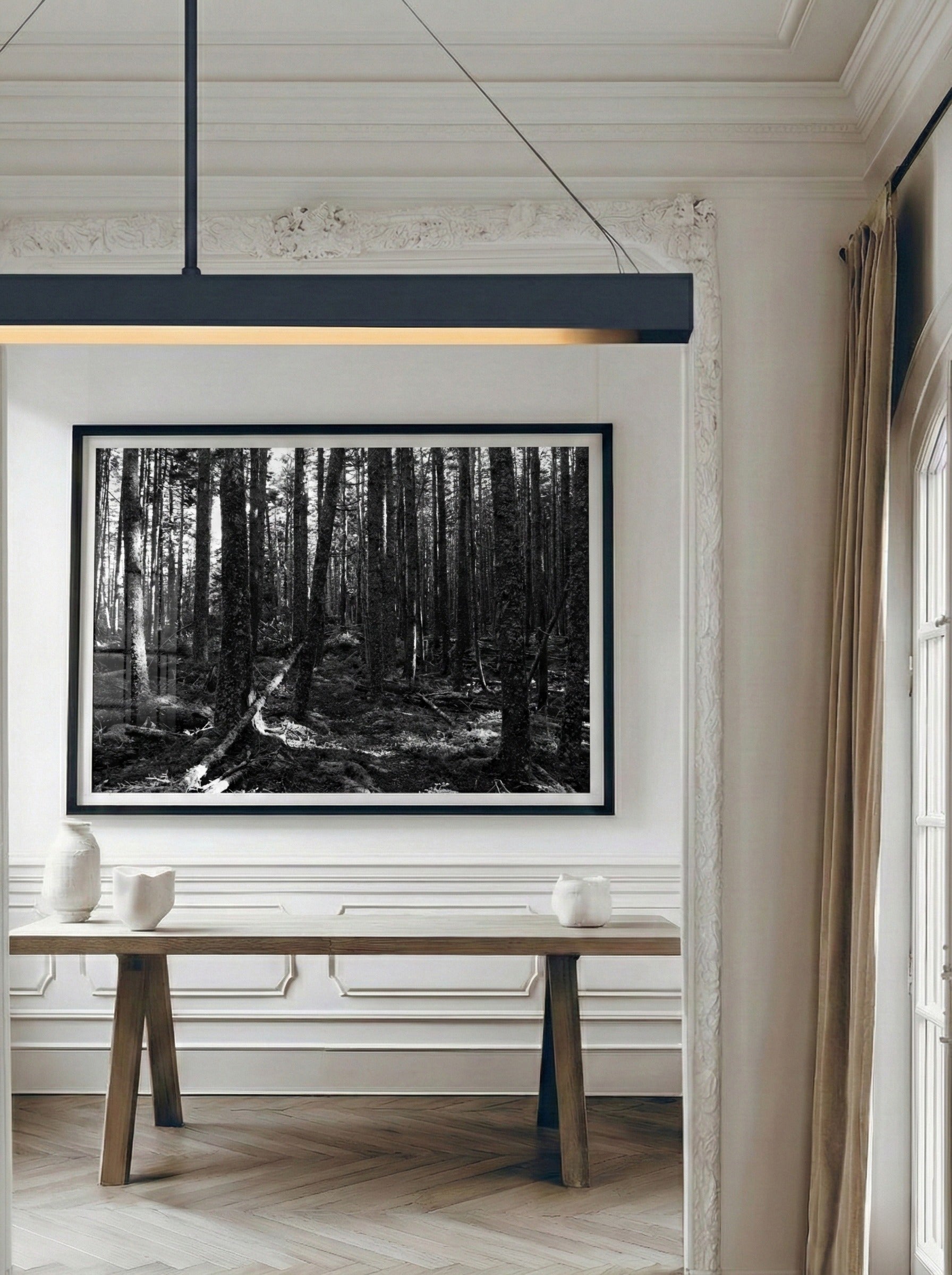 Silence Between Trees