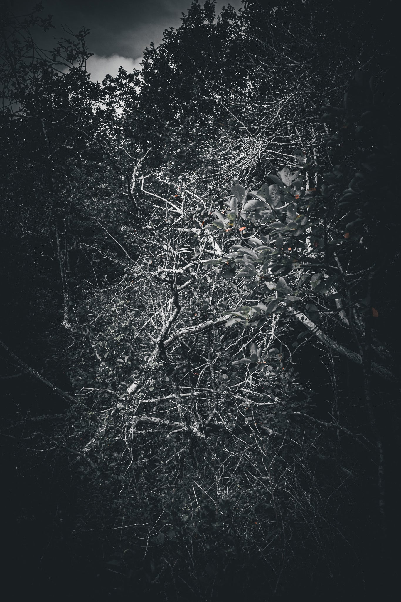 HINTERLAND