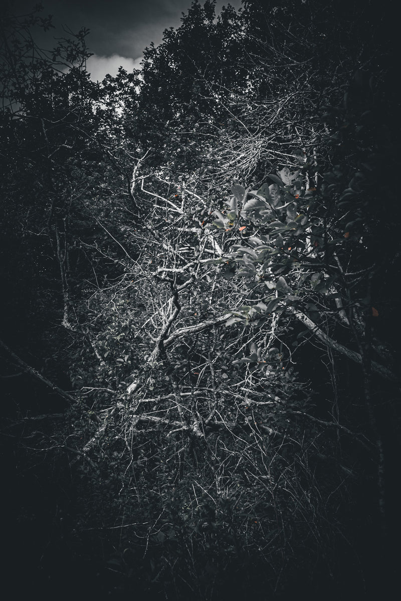 HINTERLAND