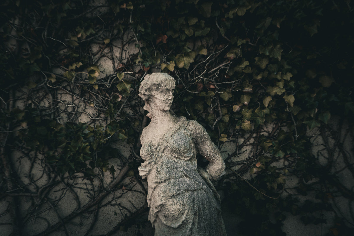 THE WOMAN IN THE GARDEN