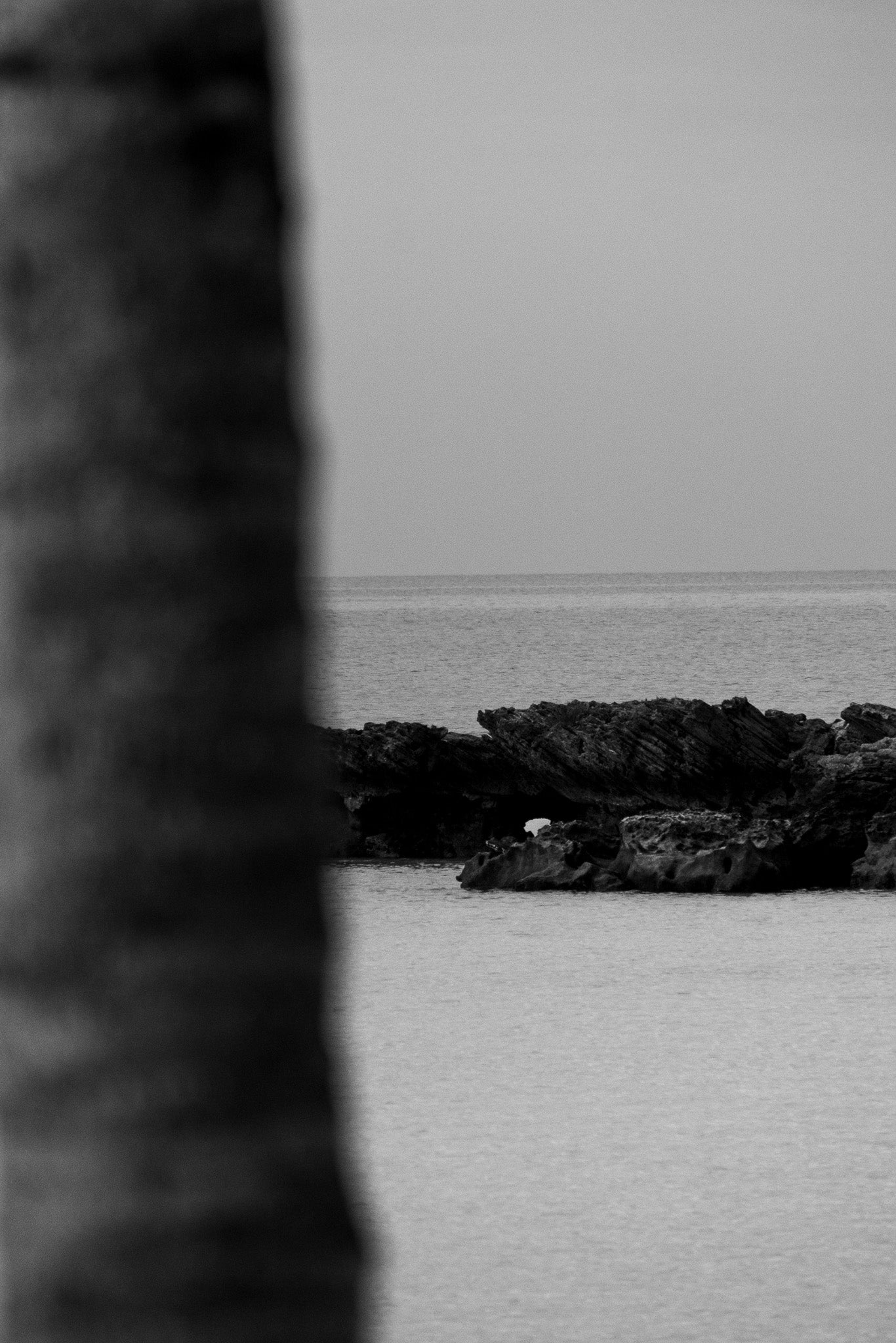 HIDDEN COAST