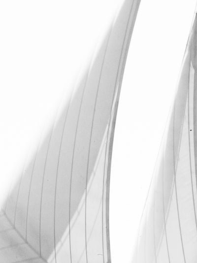 Veil of Suspension II