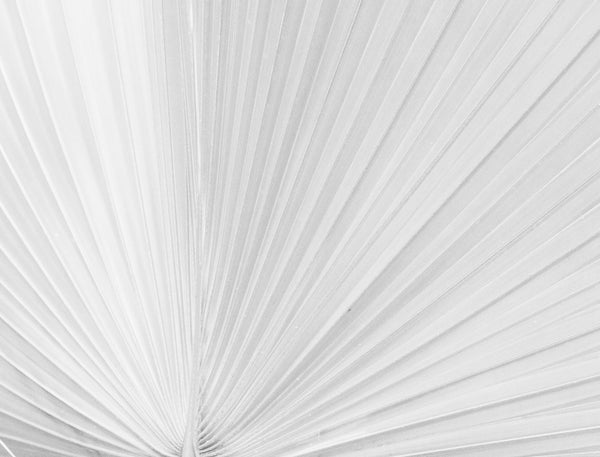 VEILED AXIS