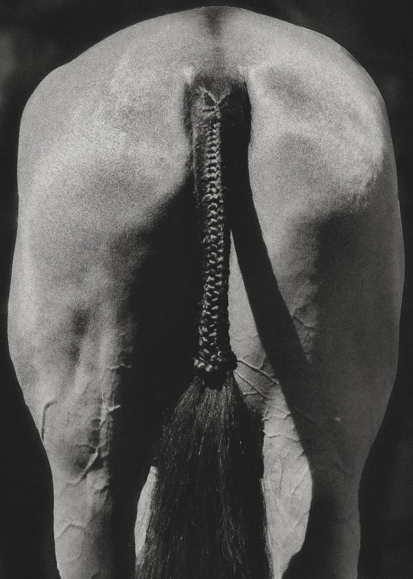 The Braided Ass I