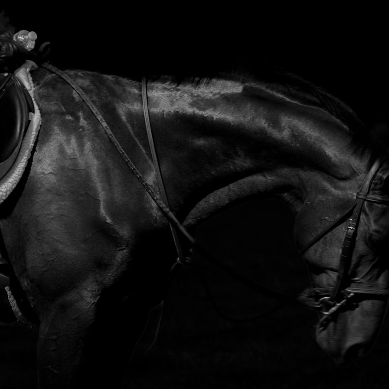 Allure II
