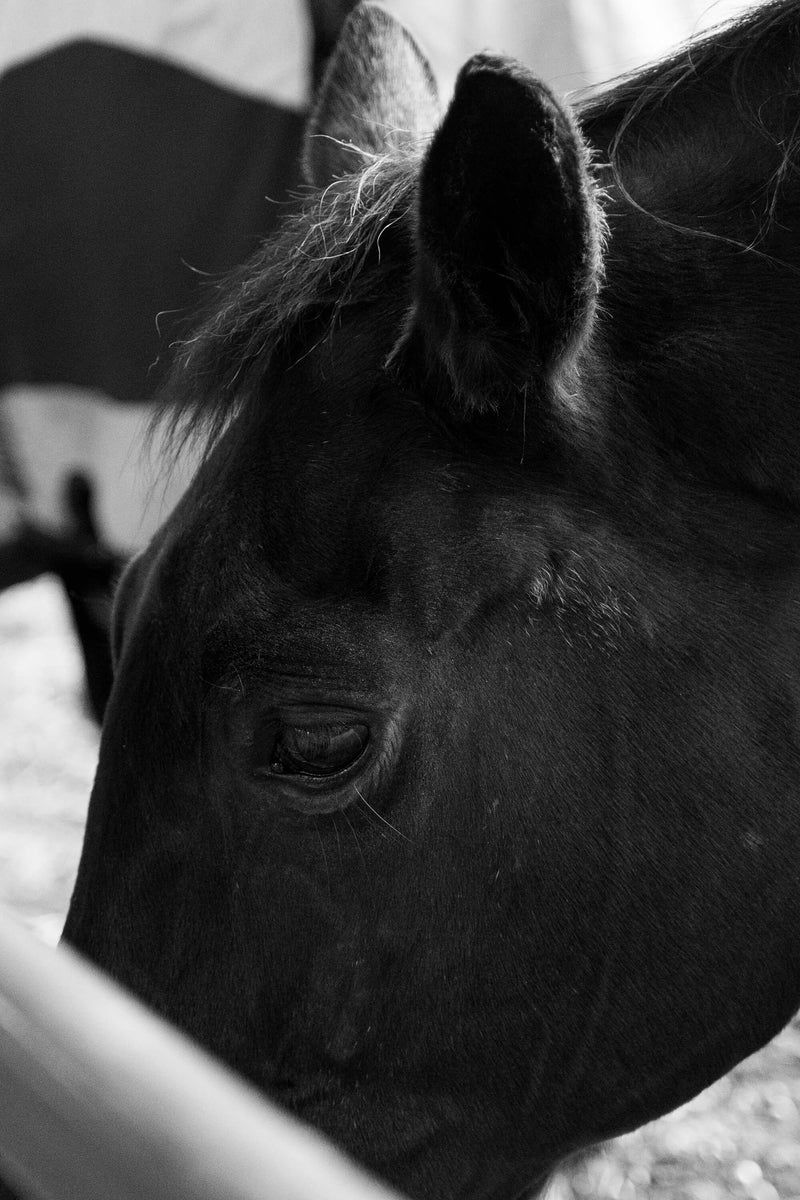 Nocturne I