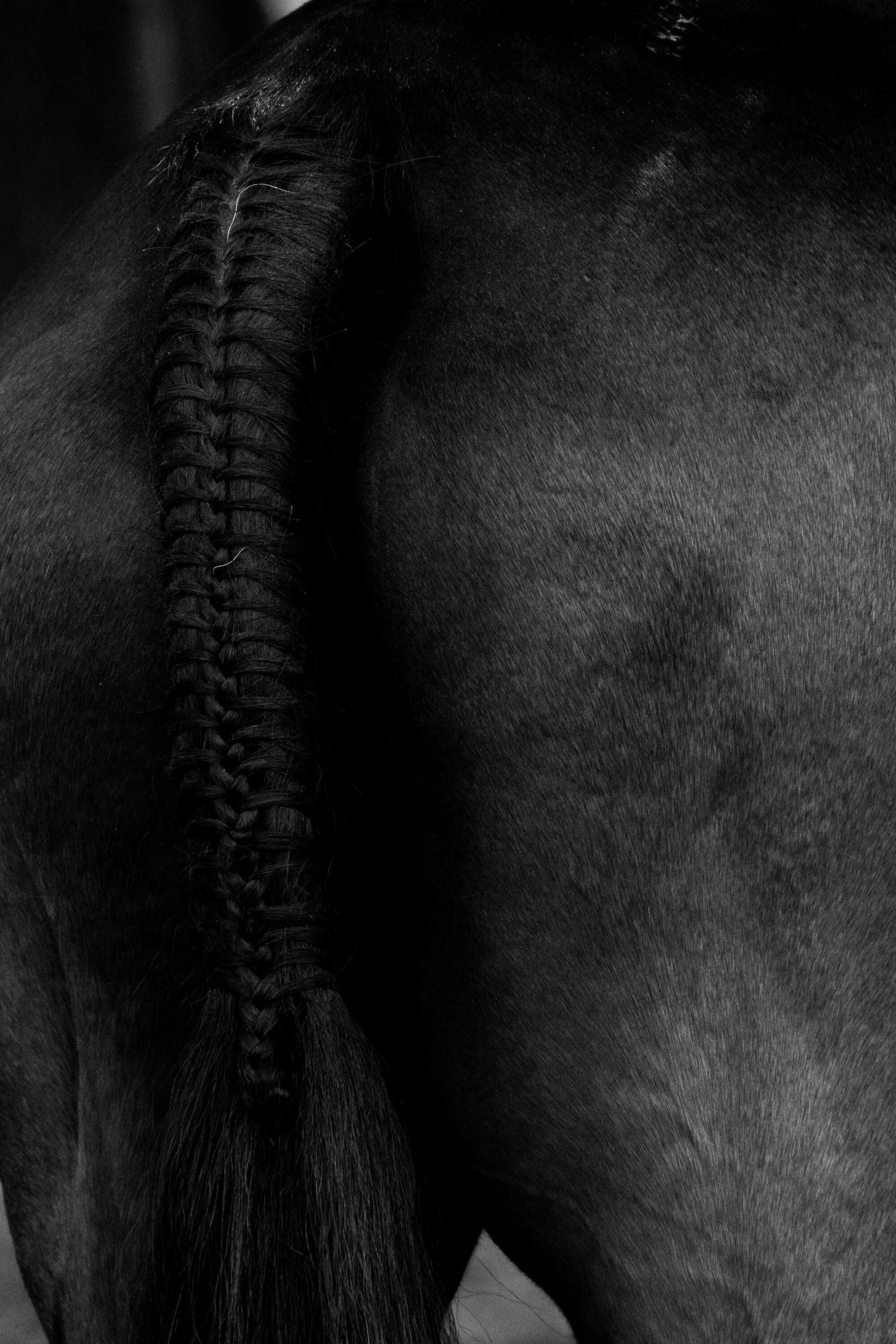 The Braided Ass (Unapologetically)