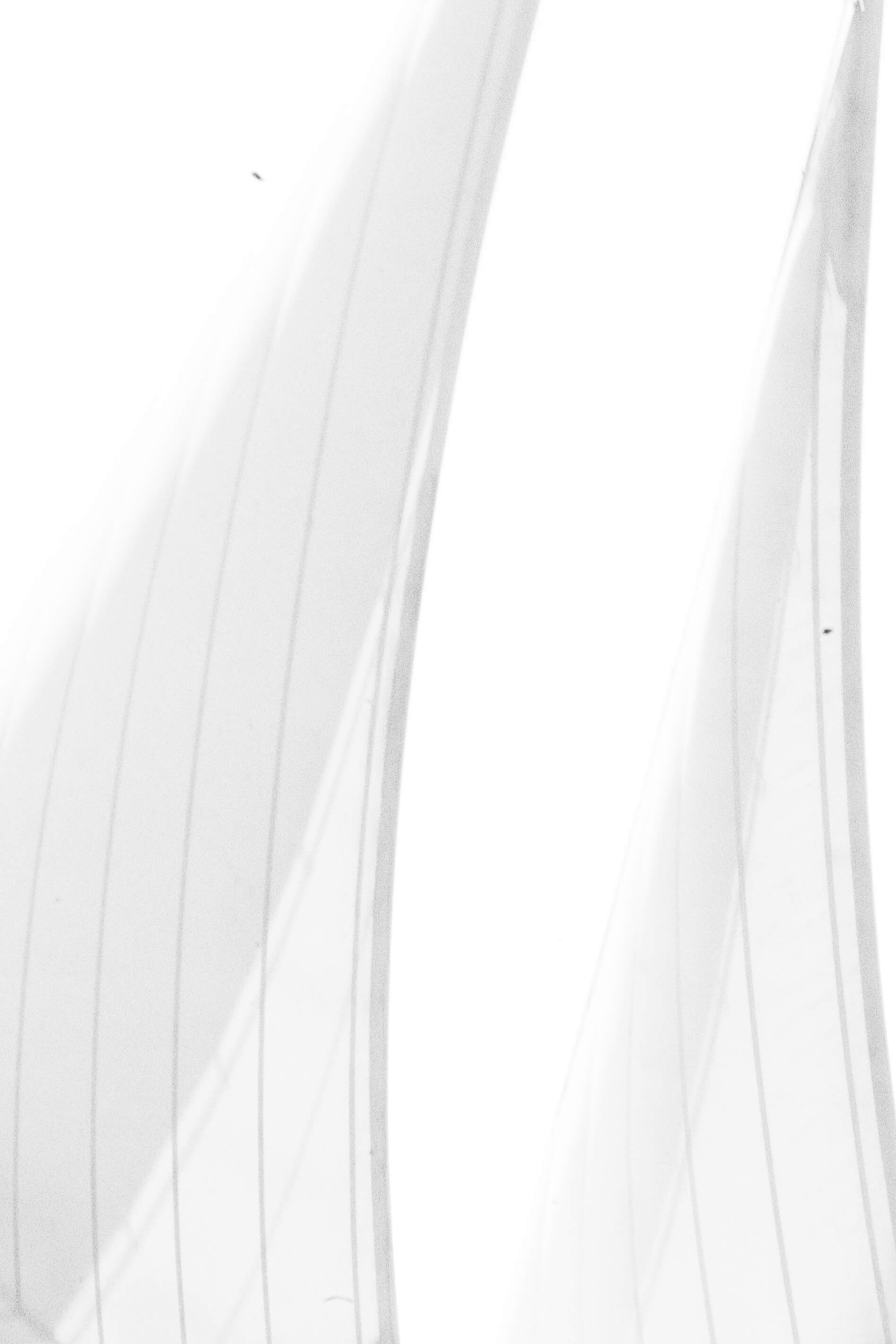 Veil of Suspension I