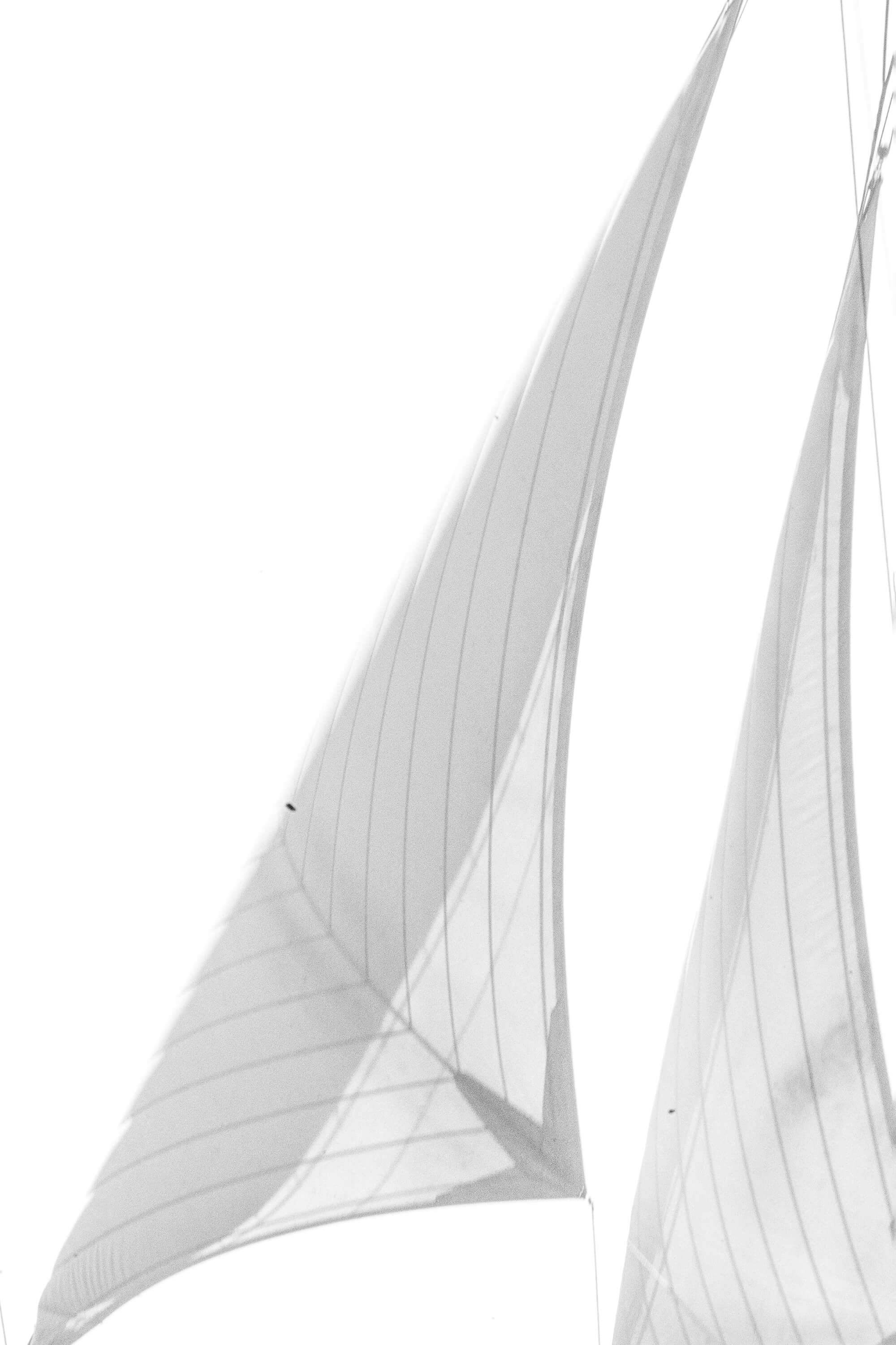 Veil of Suspension II